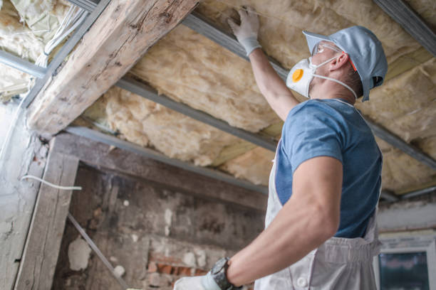 Best Specialty Insulation in Arlington Heights, PA